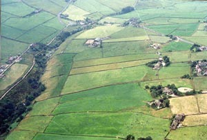 Colden Junior and Infant School