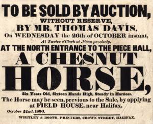 Auction of a chestnut horse