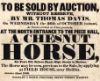 Auction of a chestnut horse