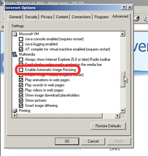 Figure 1b - how to change auto resize setting in IE6 graphic