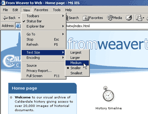 Figure 3a -  How to change the text size in IE graphic