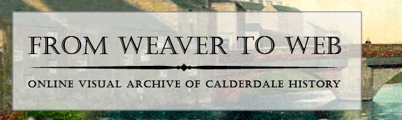 Weaver to web