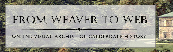 Weaver to web