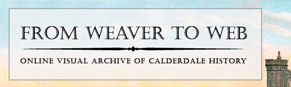 Weaver to web
