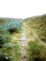 View of Packhorse causeway by Jeff Wilkinson
